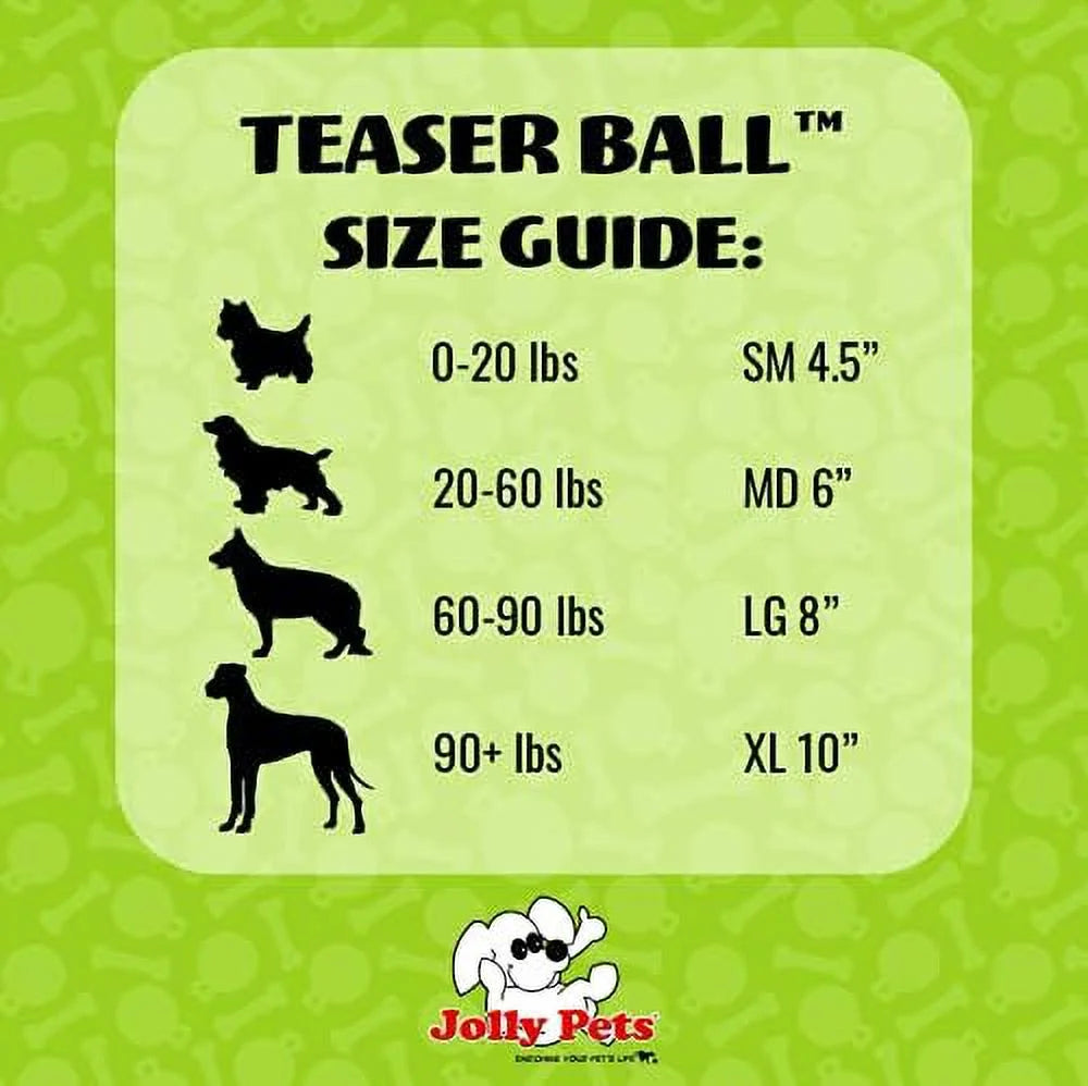 Teaser Ball 6 Inch Blue Hard Plastic plus Squeaker Toy for Dogs