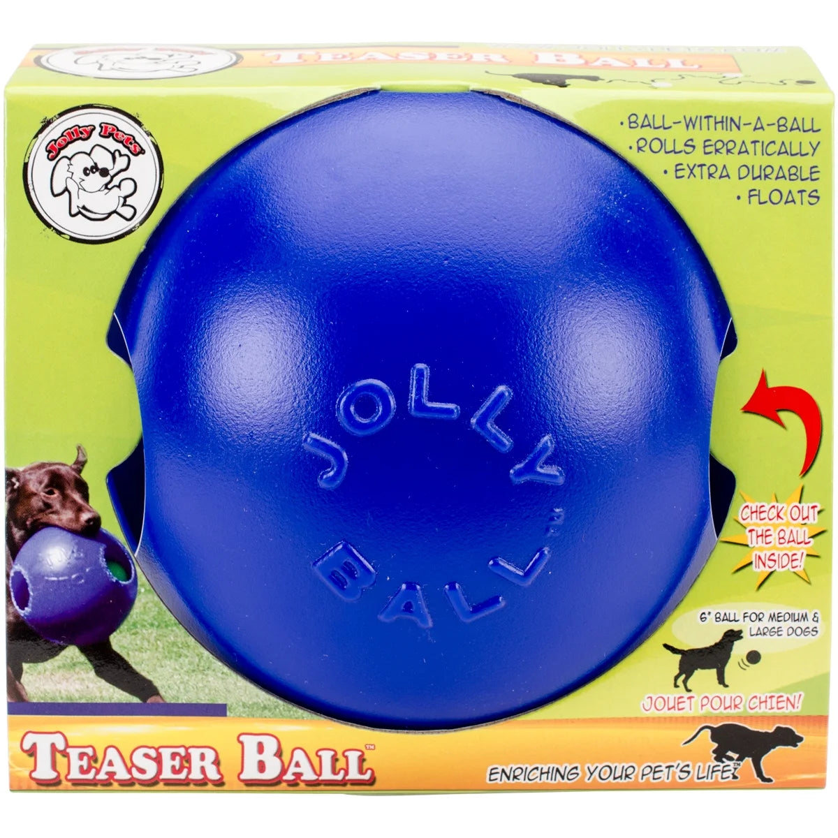 Teaser Ball 6 Inch Blue Hard Plastic plus Squeaker Toy for Dogs