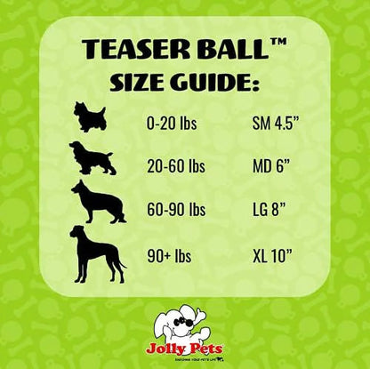 Teaser Ball 6 Inch Blue Hard Plastic plus Squeaker Toy for Dogs