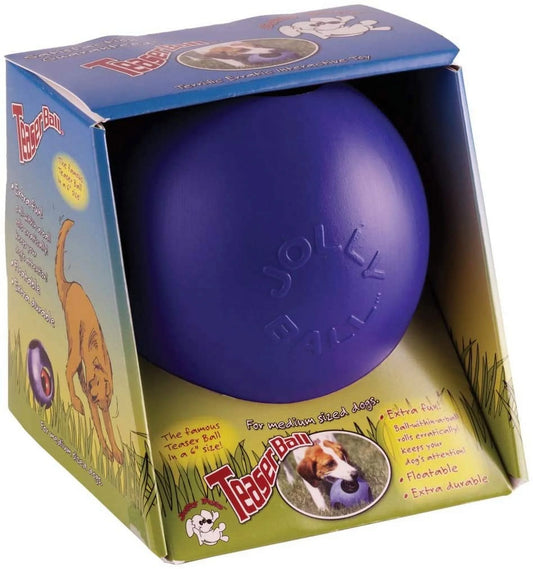 Teaser Ball 6 Inch Blue Hard Plastic plus Squeaker Toy for Dogs