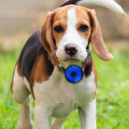 USB Rechargeable LED Collar for Dogs & Cats – Portable Safety Light for Night Walks