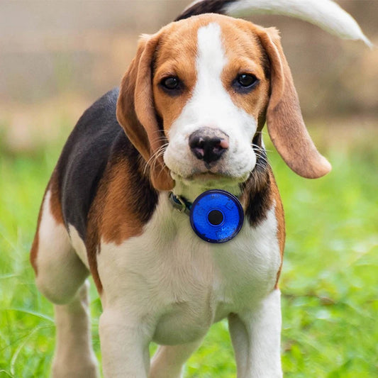 USB Rechargeable LED Collar for Dogs & Cats – Portable Safety Light for Night Walks